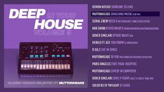 Deep In Your House Vol 9 by Muttonheads [upl. by Bette-Ann]