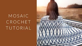 Mosaic Crochet Tutorial Video [upl. by Jason]