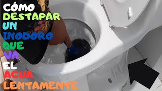 Cómo destapar un inodoro que va el agua lentamente [upl. by Kosey]