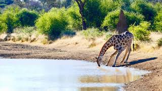 Waterberg Namibia [upl. by Jase]