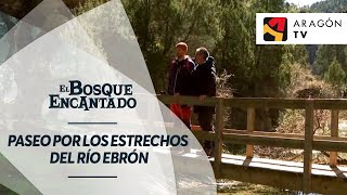 Paseo por los estrechos del río Ebrón con Ricardo Reig  ESTRECHOS DEL EBRÓN [upl. by Illib248]