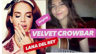 Lana del rey  velvet crowbar cover [upl. by Jegger]