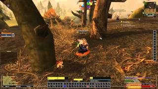 Lets Play WoW 185 Teil 1 Schurke Krieger Schami Druide [upl. by Annail630]