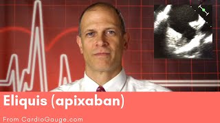 Eliquis apixaban Basics about this medicine its use effectiveness and side effects [upl. by Umeh194]