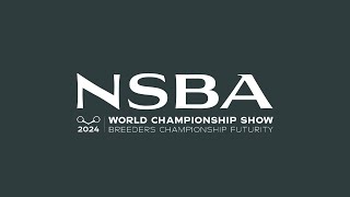 2024 NSBA World Show Saturday August 17 Mustang Arena [upl. by Kilk]