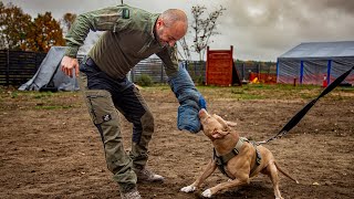 Ośrodek szkolenia  Edamentus K9 Training [upl. by Saylor]