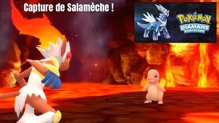 Pokémon Diamant Etincelant  On capture 🔥 Salamèche 🔥  Nintendo Switch [upl. by Woodberry]