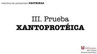 III prueba xantoproteica [upl. by Gibby]