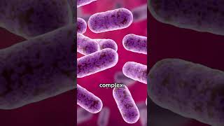 Balance of intestinal bacteria and peristalsis of the large intestine [upl. by Inalem391]