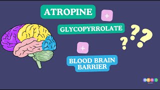 Atropine vs Glycopyrrolate Battle of the Brain Barriers [upl. by Anhoj280]