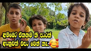 අම්මෝ ඒ සින්දුවනම් භාවනාවක් 🥰❤️😍 trending viralvideo song [upl. by Elrod]