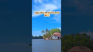 දන්න කට්ටිය කියාගෙන යමු මේ කොහෙද කියල 🚤 😊 🌞 travel shorts river [upl. by Yseult]