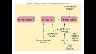 Unit 3 Part 8 Cardiac Output [upl. by Nazarius]