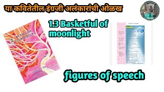 13 figures of speech in 13 Basketful of moonlight 10th std English [upl. by Kila]