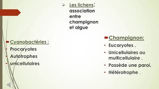 les thallophytes [upl. by Max204]