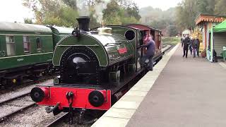 Dean Forest Railway  Royal Forest of Steam Gala 2024 [upl. by Lamahj723]