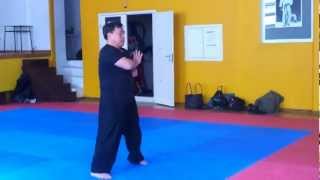 Kung Fu Portugal  Teddy Lai Dia 2  Mantis Wing Chin Hungar Chi Sao [upl. by Cilka]