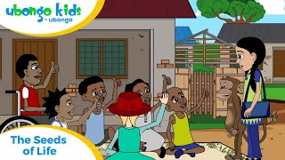 EPISODE 59 The Seeds of Life  Ubongo Kids Utu Self Efficacy  African Educational Cartoons [upl. by Eloci595]