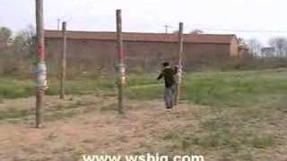 Baji wooden pole training [upl. by Sherlocke]