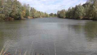 BROOKHALL LAKE TOLLESHUNT KNIGHTS NEAR TIPTREE ESSEX [upl. by Wadlinger]