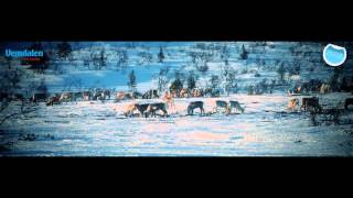 Vemdalen  Cross Country Skiing [upl. by Balkin]