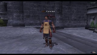 Final Fantasy XI Horizon Server  WAR EXP and more Livestream [upl. by Xylia714]