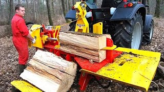 Lumberjack Chronicles Tree Felling and Log Cutting Adventure woodworking firewood [upl. by Kirtley]