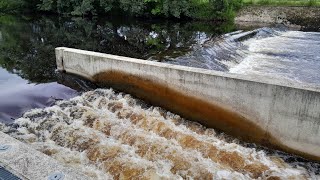 Lobwood Weir Fish Pass River Wharfe [upl. by Mccoy]