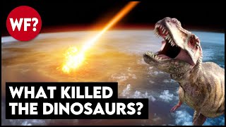 Why The Dinosaurs Died  The Chicxulub Asteroid Impact [upl. by Airrehs]