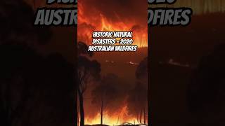 Historic Natural Disasters  2020 Australian Wildfires naturaldisaster extremeweather weatherfact [upl. by Bonacci]