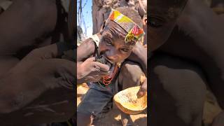 This is incredible delicious soup cooked by Hadza Bushmen naturally 😋😲hadzabetribe villagelife [upl. by Melantha579]