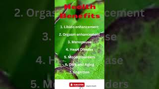 Horny Goat Weed 7 Top Health Benefits [upl. by Bust695]