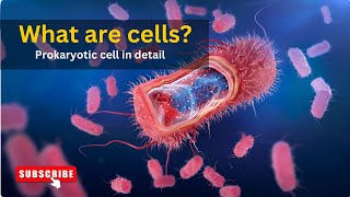 What are cells Structure of prokaryotic cell Understanding PROKARYOTIC CELL in detail [upl. by Murton]