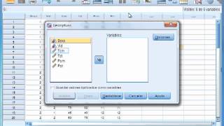 Descripción Univariada de datos con SPSS [upl. by Ocicnarf110]