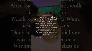 SEHNSUCHT 😭💔 tlow  Musik Zitate Deutsch  nieverstehen [upl. by Anovad158]