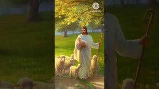 आज का वचन jesus message shorts video youtubeshorts [upl. by Malinowski]