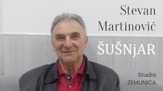 Stevan Martinović  ŠUŠNjAR [upl. by Bibah698]