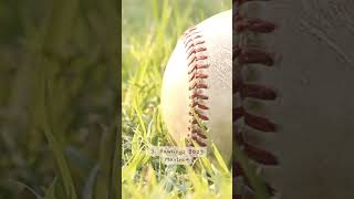 Top 4 Fastpitch Softball Bats softball softballbats softballbat [upl. by Harrad]