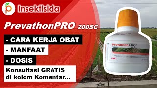 Review Insektisida Prevathon PRO 200SC Terbaru dari FMC fmcindonesia4883 [upl. by Bone23]