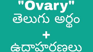 Ovary meaning in telugu with examples  Ovary తెలుగు లో అర్థం meaningintelugu [upl. by Lletniuq643]