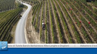 CONSORZIO DI TUTELA BAROLO BARBARESCO ALBA LANGHE E DOGLIANI [upl. by Liuqnoj809]