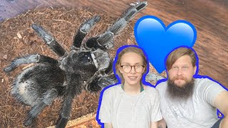 HUSBAND feeds my MALE TARANTULAS [upl. by Millur]