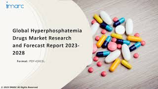 Hyperphosphatemia Drugs Market Analysis Recent Trends and Regional Growth Forecast by 202328 [upl. by Portie]