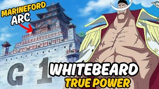 Whitebeard vs Marineford Epic War in One Piece [upl. by Nelyahs]