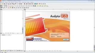 Презентация программы Audytor CO 38 [upl. by Mandy]