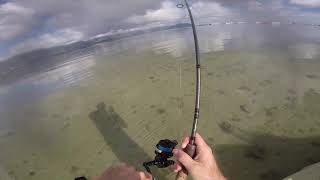 Hawaii not on the fly bonefish [upl. by Bray]