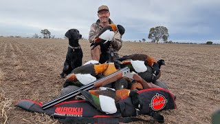 Duck Hunting Australia  MIROKUmk70  Mountain Ducks [upl. by Doersten309]