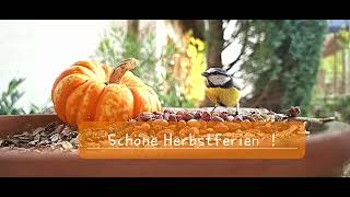 Schöne Herbstferien [upl. by Manning]