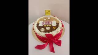 FIBIs 9th Birthday celebrated with Pet friendly Chicken ampLiver Biscuit Cake petcakes cakefordogs [upl. by Semadar368]