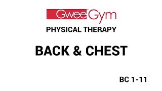 Back amp Chest Exercises for Physical Therapy with the Gwee Gym [upl. by Aennyl247]